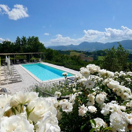 Borgo Crispiero Bed & Breakfast Ngoại thất bức ảnh